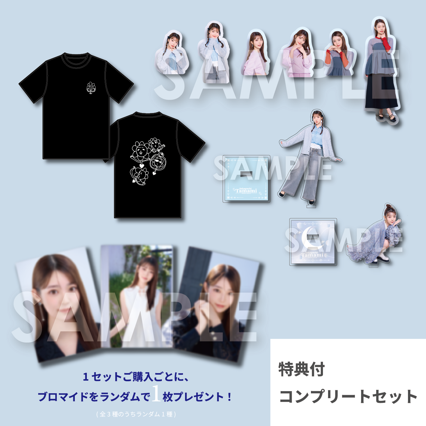 阪口珠美 特典付コンプリートセット