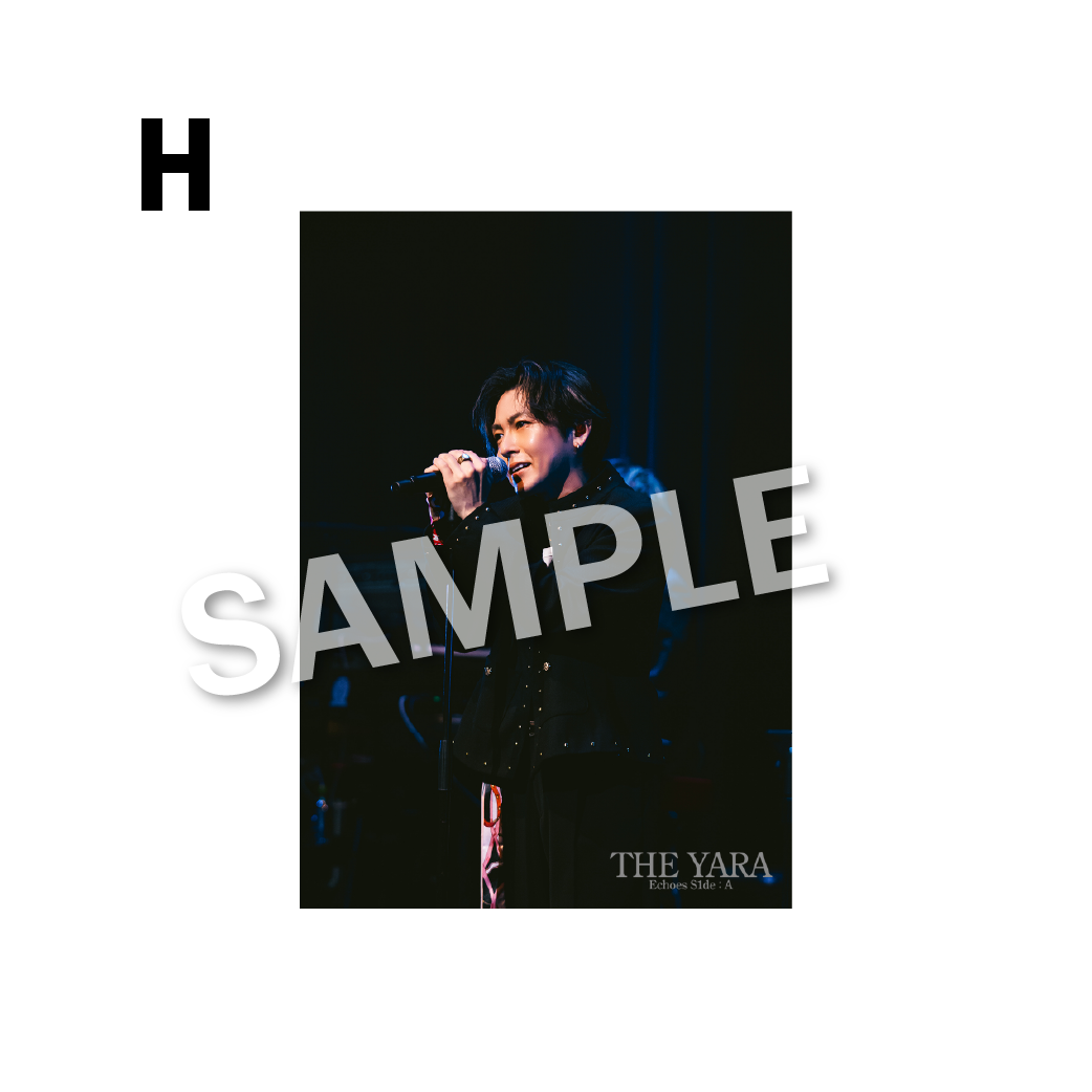 THE BROMIDE