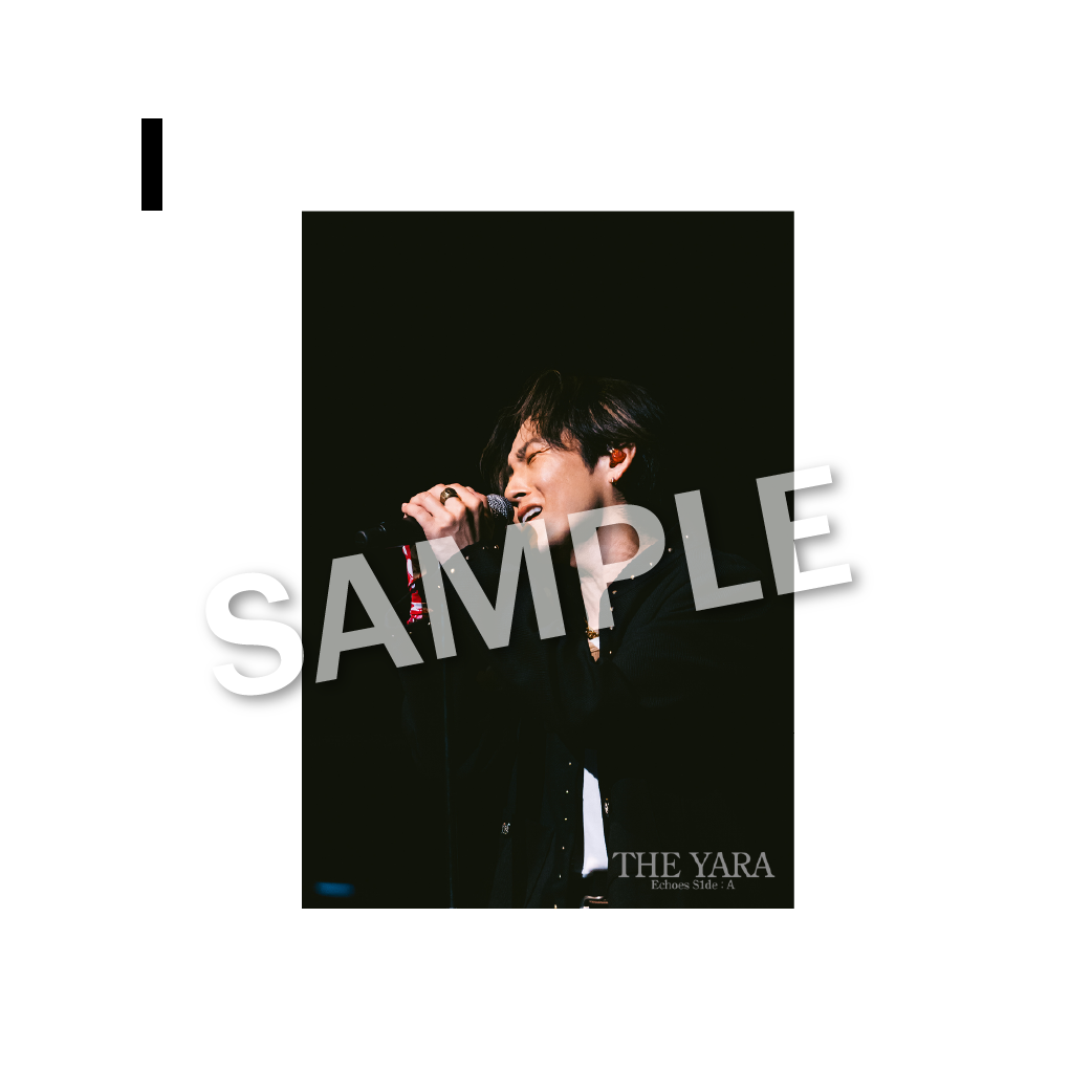 THE BROMIDE