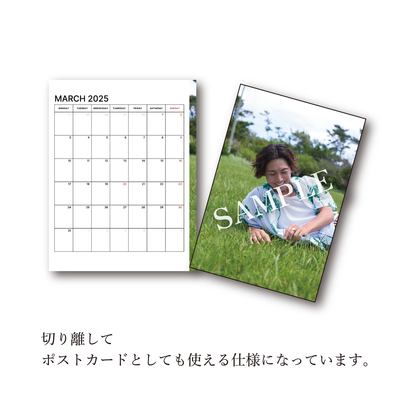 2025オフィシャルカレンダー Bセット