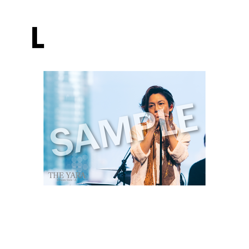 THE BROMIDE