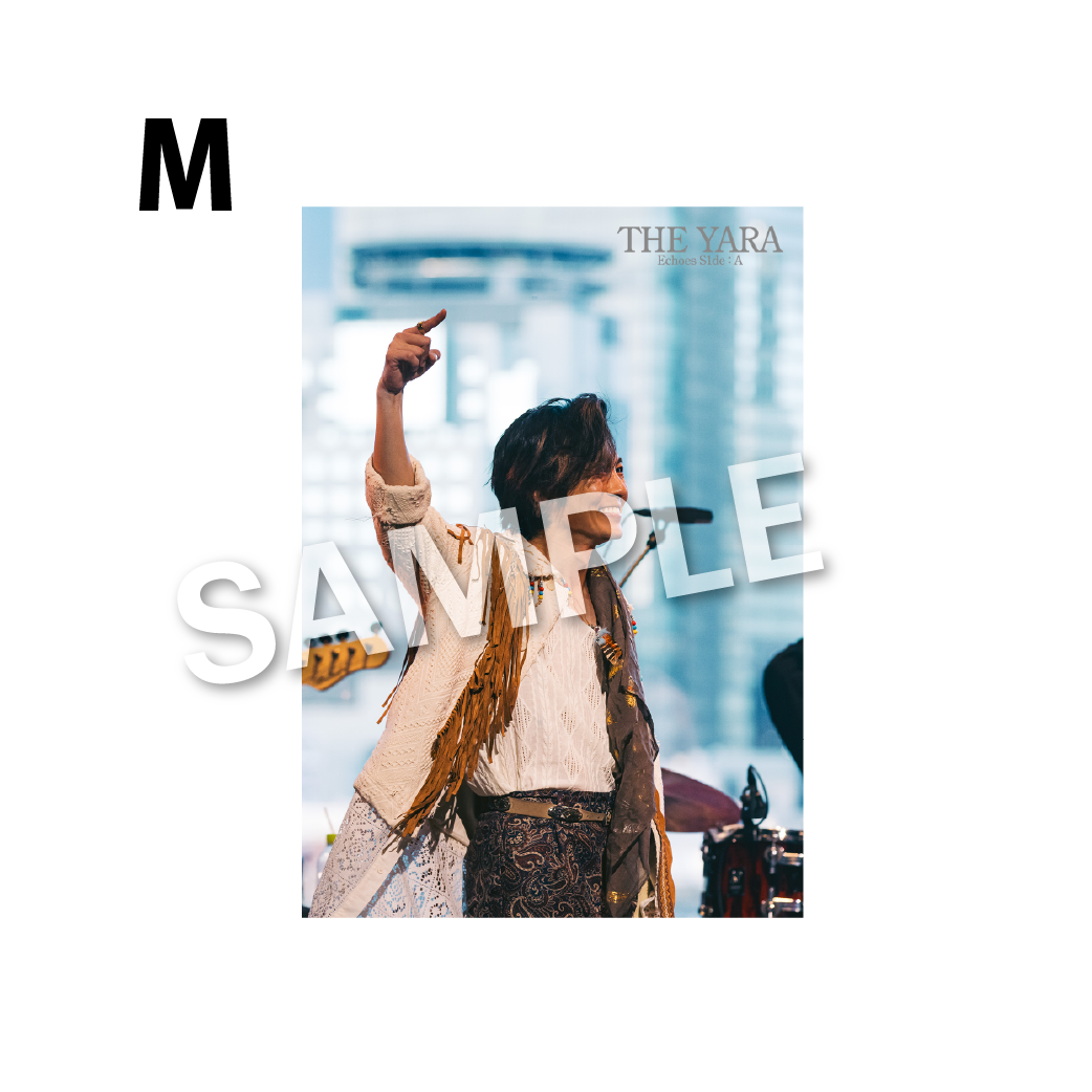 THE BROMIDE