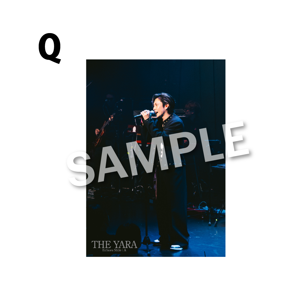 THE BROMIDE