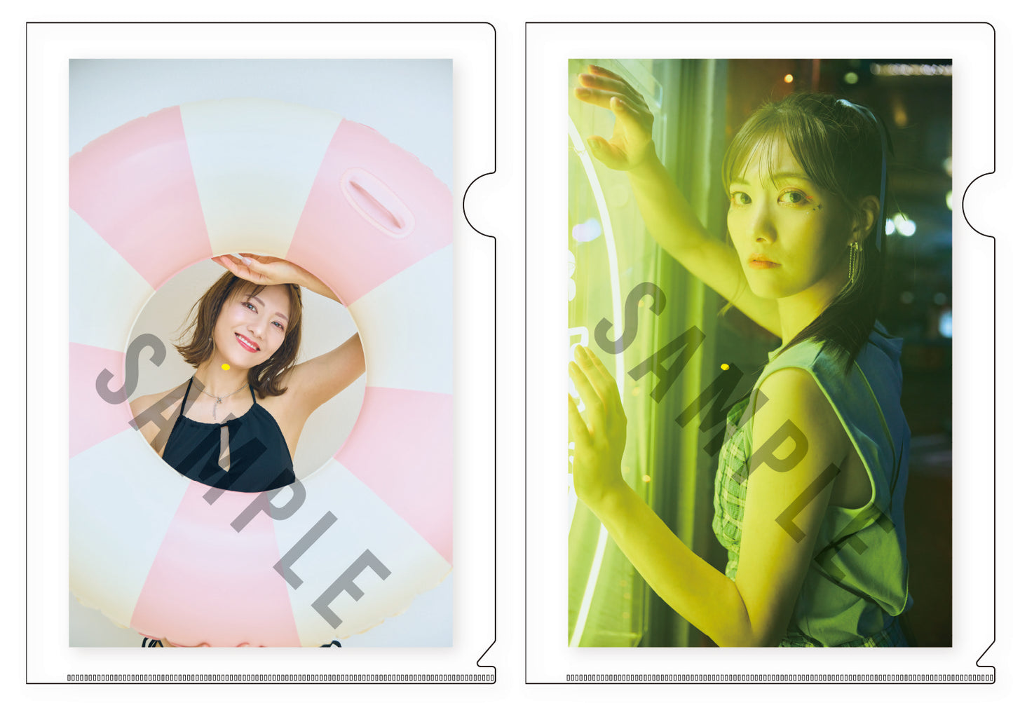 宮澤佐江 A4クリアファイル2種1セット