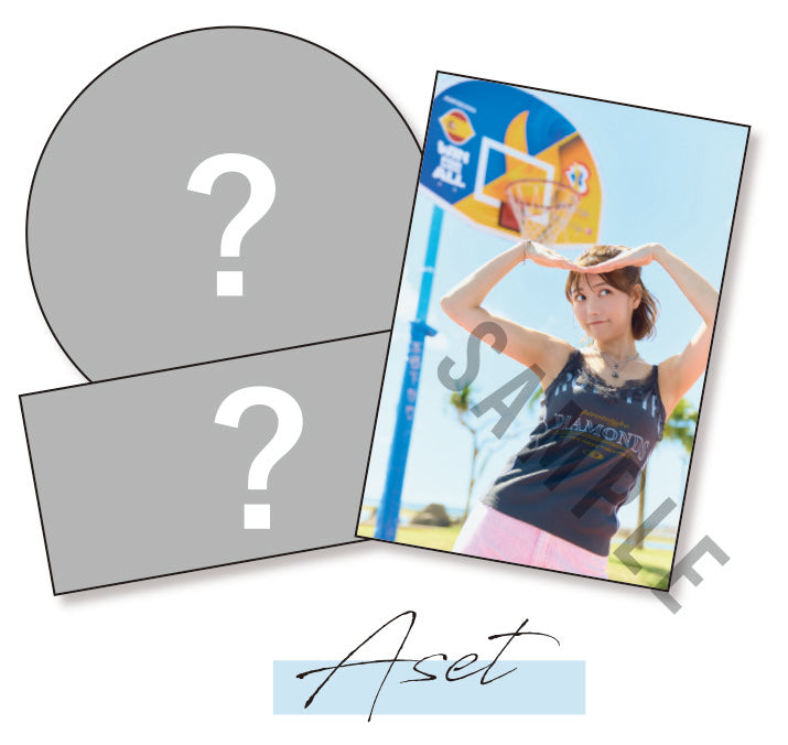 宮澤佐江 ステッカー3種 Aセット