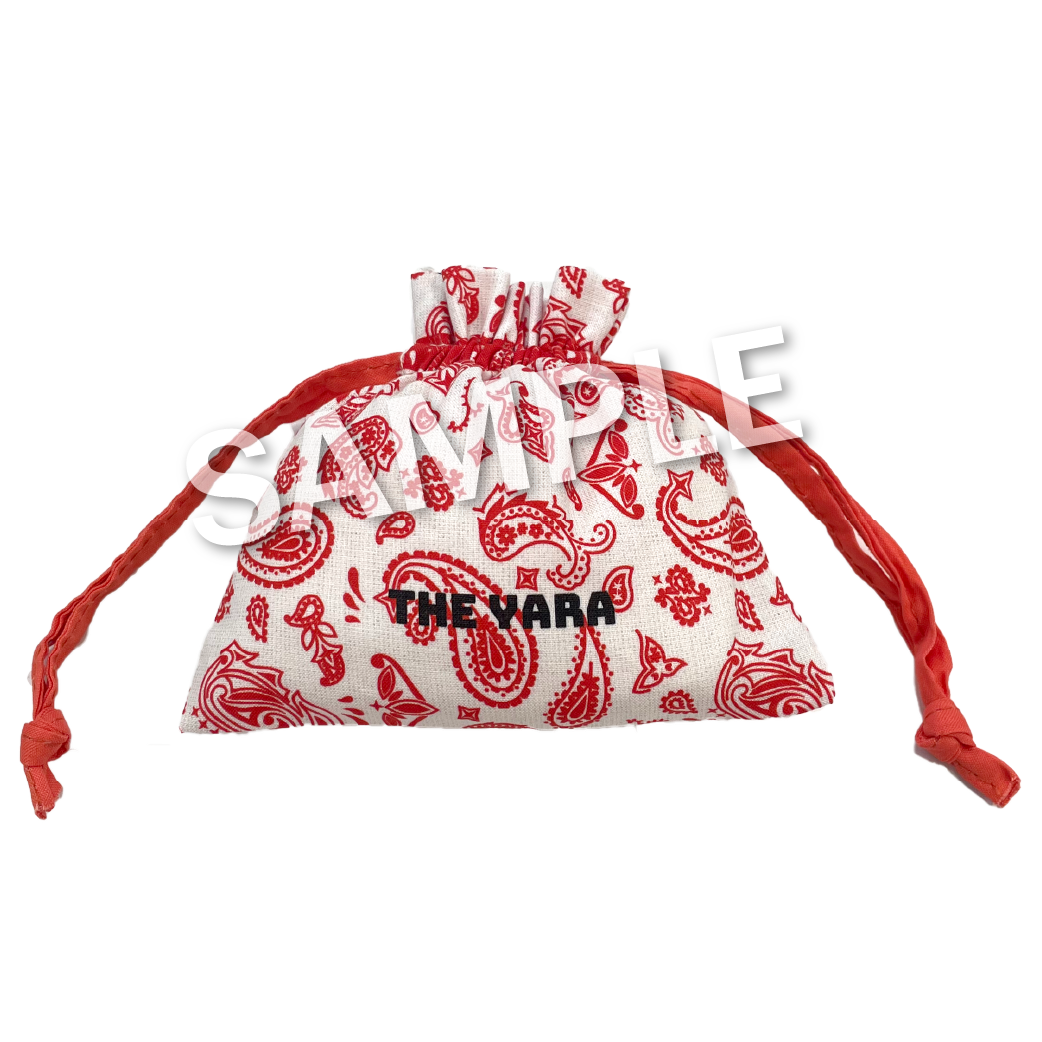THE POUCH (paisley)