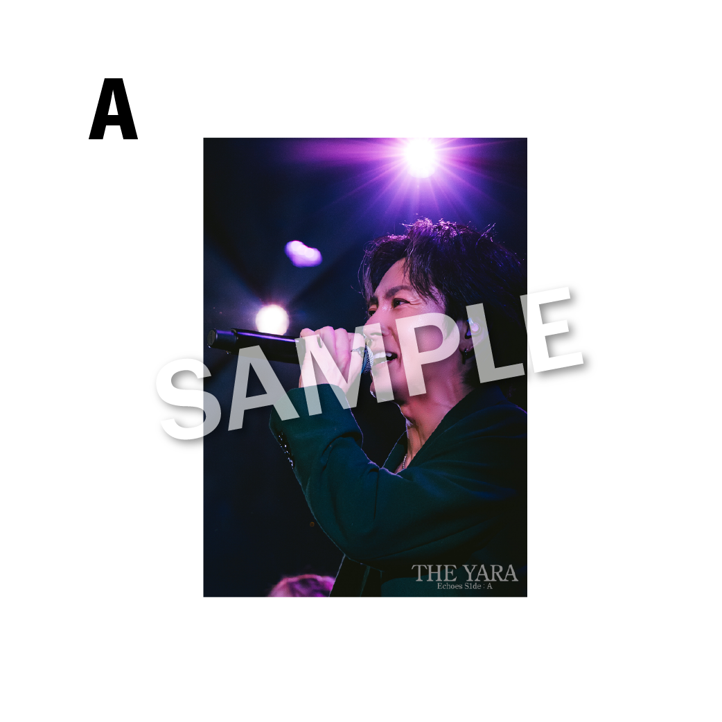 THE BROMIDE