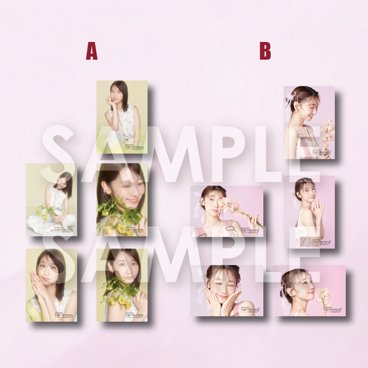 ブロマイド5枚セット