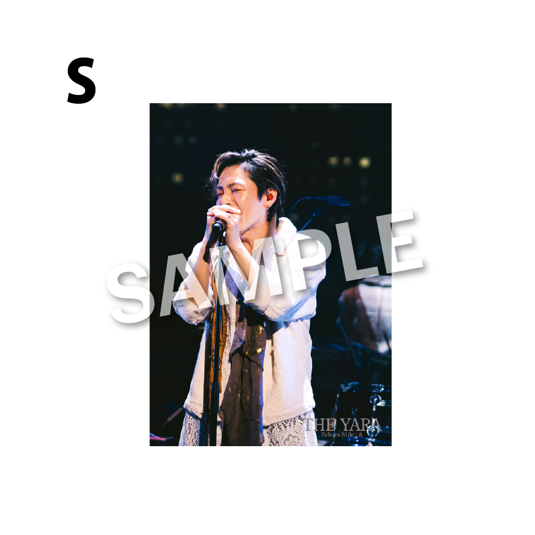 THE BROMIDE