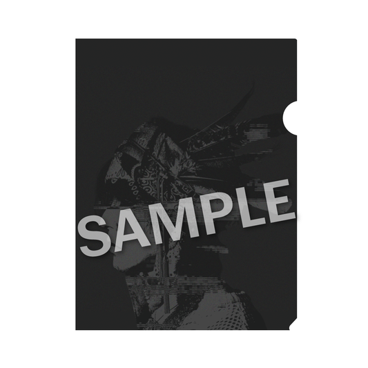 THE CLEAR FILE (A)