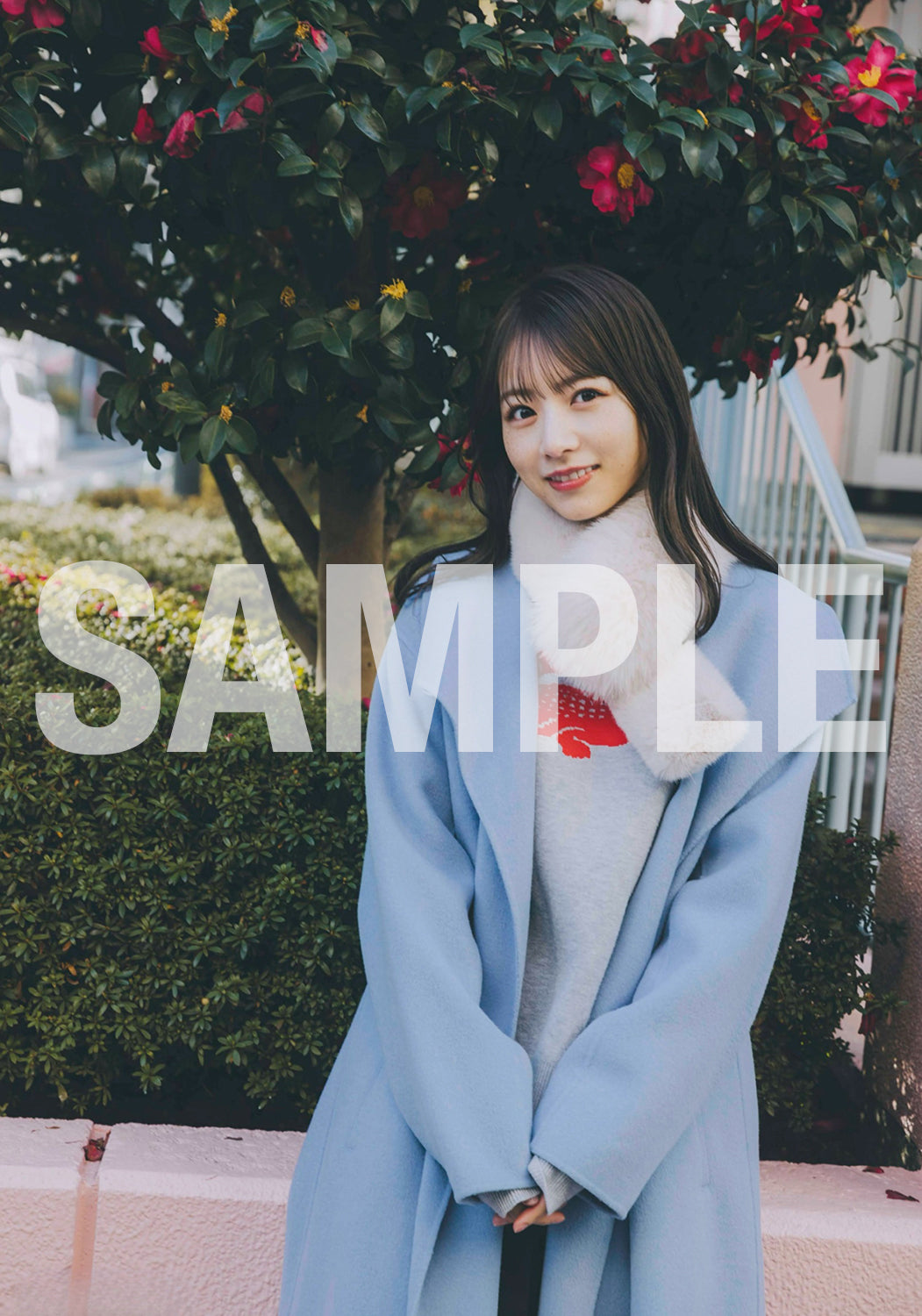 生写真　TypeA
