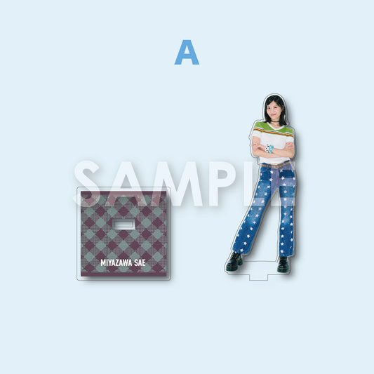 宮澤佐江 OFFICIAL STORE – ANYLAND OFFICIAL SHOP