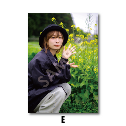 Mclub-ブロマイド (全16種)