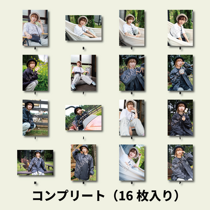 Mclub-ブロマイドコンプリートセット (16枚入り)