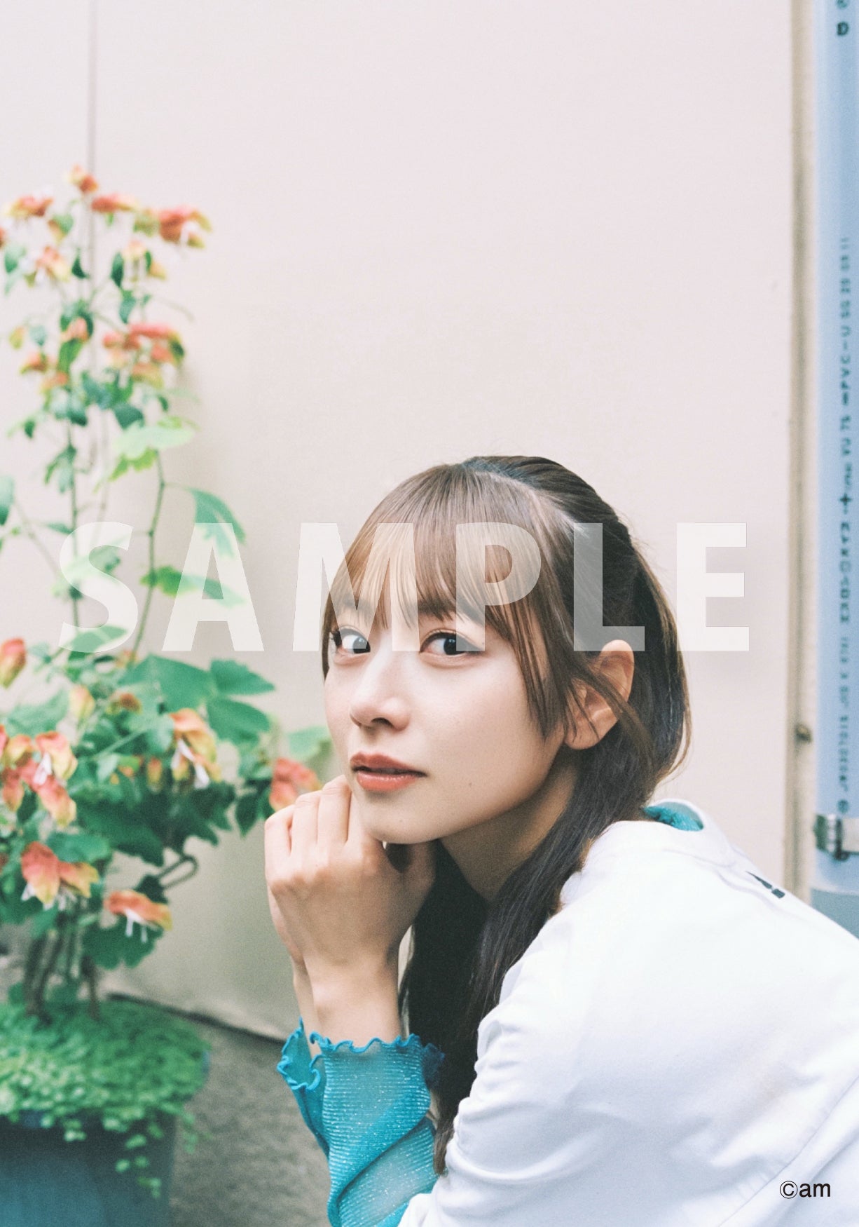 北野日奈子31th彼氏特典限定名刺入れケースとカード➕北野日奈子1.2写真集 北野日奈子 OFFICIAL STORE – ANYLAND OFFICIAL SHOP